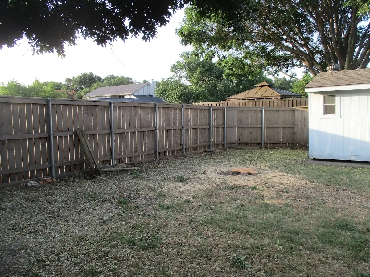 Cleared yard after professional tree removal in Sneads